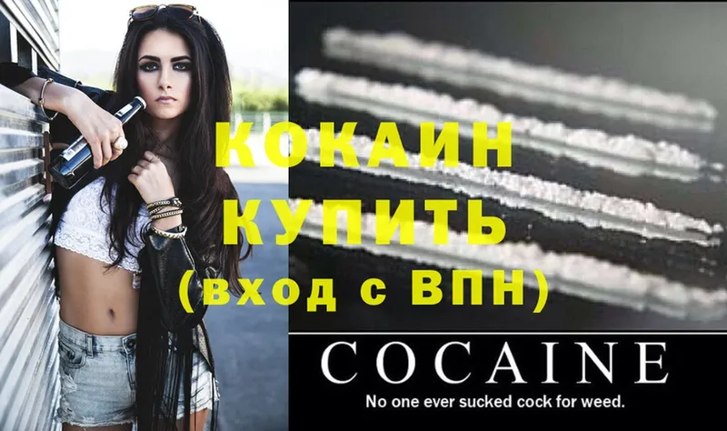 MEGA зеркало  что такое   Донской  Кокаин Fish Scale 